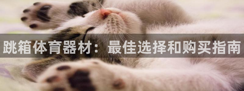 极悦平台注册流程详解图：跳箱体育器材：最佳选择和购买