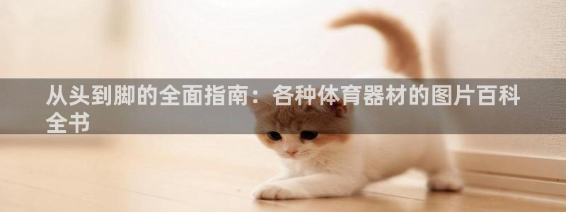 极悦娱乐官网下载安装：从头到脚的全面指南：各种体育器