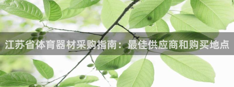 极悦平台注册失败如何解决：江苏省体育器材采购指南：最