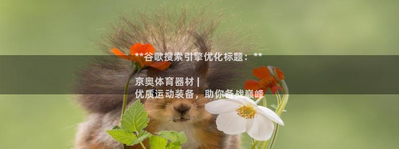 极悦平台注册申请流程详解图片：**谷歌搜索引擎优化标