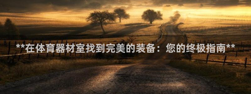 极悦平台用户反馈和反馈：**在体育器材室找到完美的装