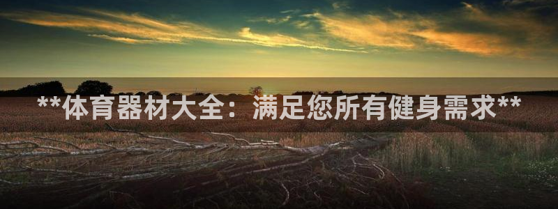 极悦平台注册的弊端及解决方法：**体育器材大全：满足