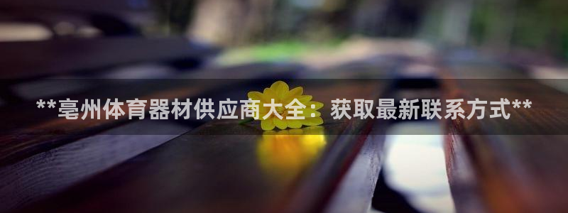 极悦平台家7O777：**亳州体育器材供应商大全：获
