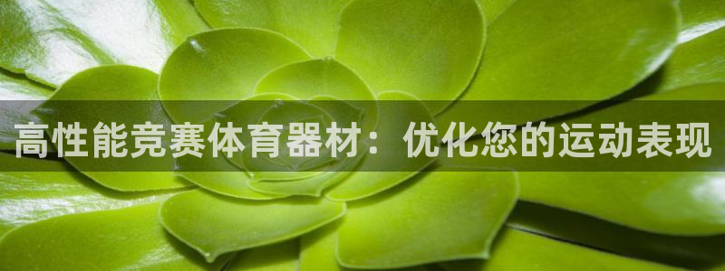 极悦平台注册官网网址：高性能竞赛体育器材：优化您的运