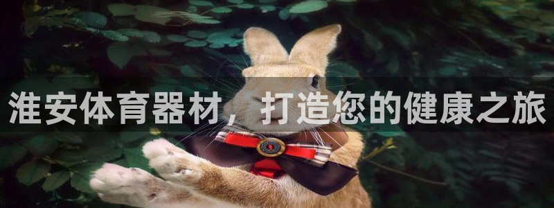 极悦平台官网入口网站：淮安体育器材，打造您的健康之旅