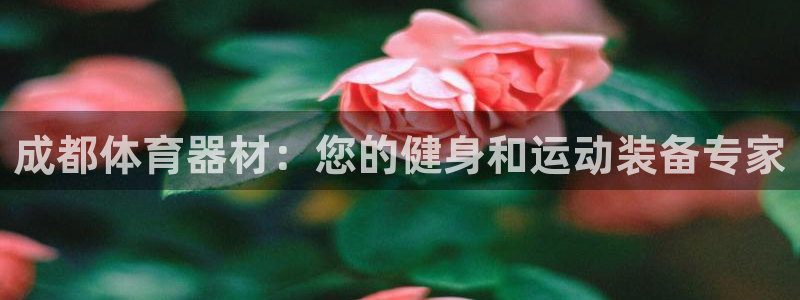 极悦平台官网登录不了了：成都体育器材：您的健身和运动