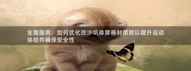 极悦平台：全面指南：如何优化挖沙坑体育器材摆放以提升