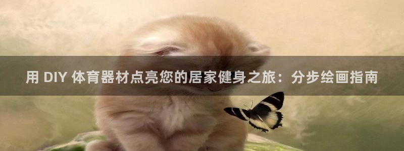 极悦平台用户评价与反馈：用 DIY 体育器材点亮您的