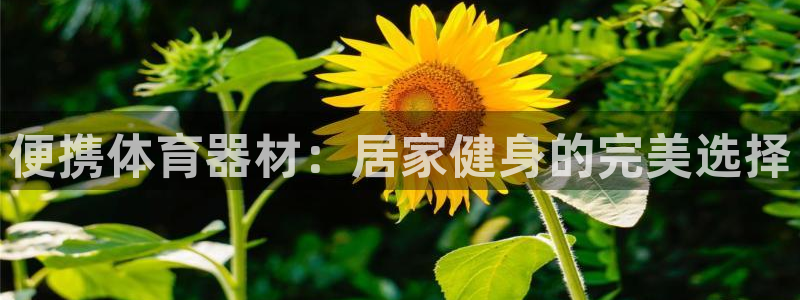 极悦娱乐登录拒绝访问怎么办理：便携体育器材：居家健身