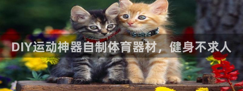 极悦平台app二维码怎么弄出来：DIY运动神器自制体