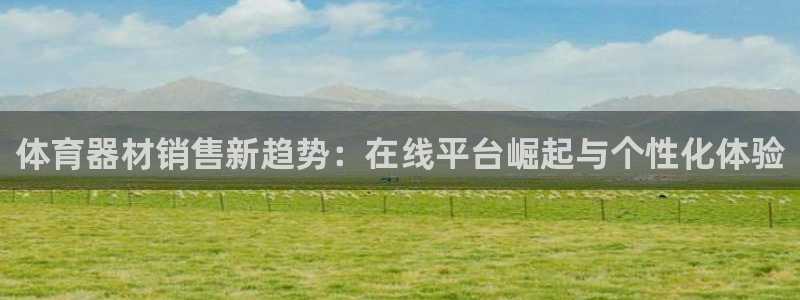 极悦官网旗舰店是正品吗：体育器材销售新趋势：在线平台