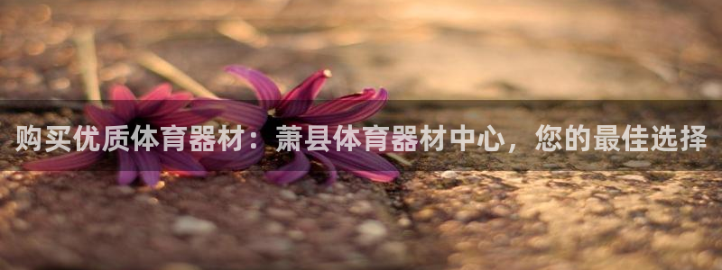 极悦平台是干嘛的软件：购买优质体育器材：萧县体育器材