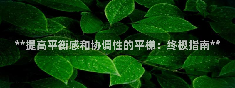 极悦娱乐的最新版本更新内容：**提高平衡感和协调性的