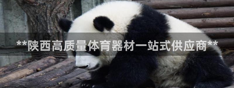 极悦娱乐股东有哪些：**陕西高质量体育器材一站式供应