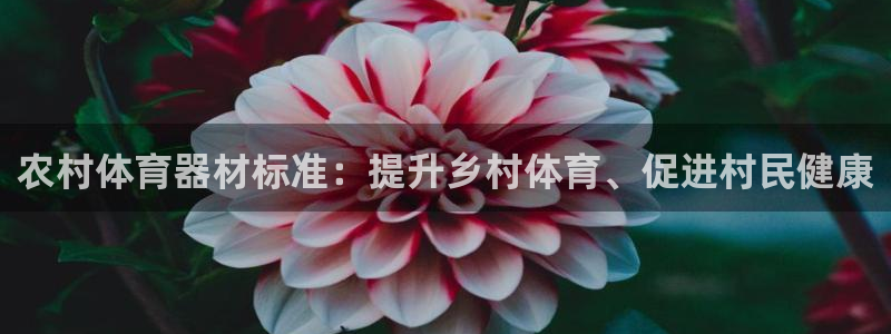 极悦平台注册登录不了：农村体育器材标准：提升乡村体育