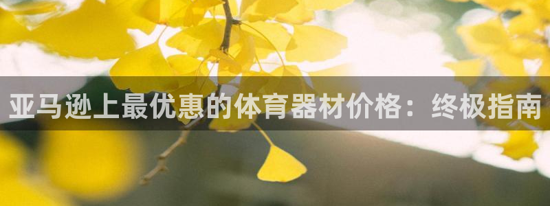 极悦娱乐app官方版本更新内容在哪：亚马逊上最优惠的