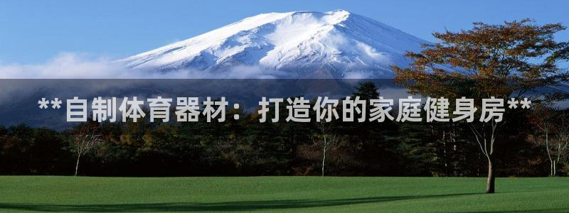 极悦平台平台注册方法与步骤图：**自制体育器材：打造
