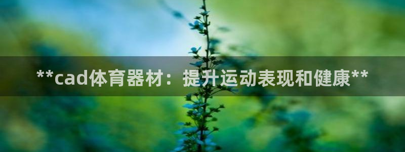 极悦平台注册流程详解：**cad体育器材：提升运动表