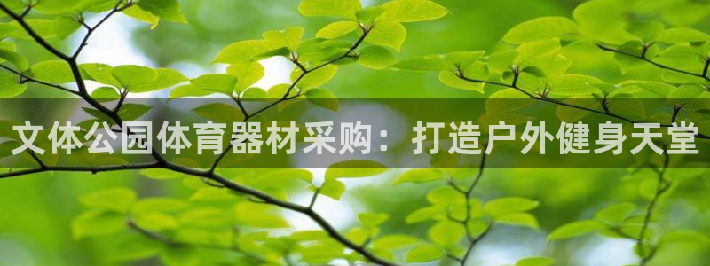 极悦平台是干嘛的软件：文体公园体育器材采购：打造户外