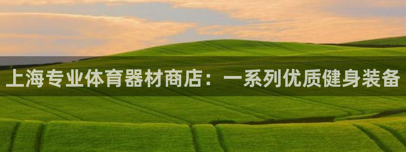 极悦平台官方网站入口下载：上海专业体育器材商店：一系