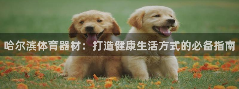 极悦平台注册官方网站下载：哈尔滨体育器材：打造健康生