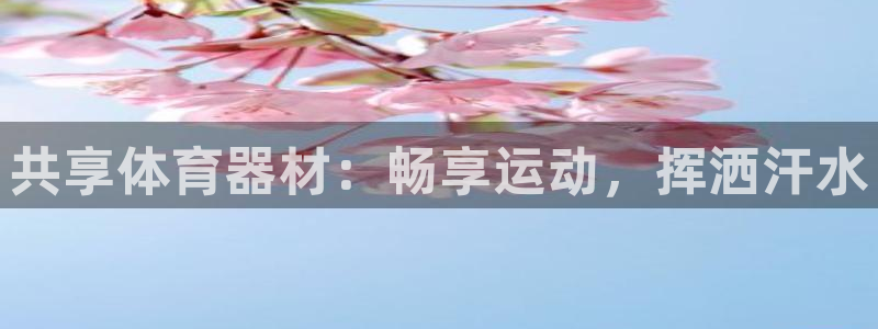 极悦平台网址皮皮虾：共享体育器材：畅享运动，挥洒汗水