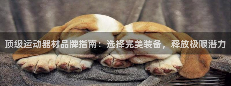 极悦平台客服的联系方式是什么：顶级运动器材品牌指南：