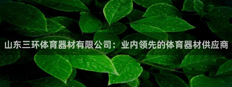 极悦平台官网登录：山东三环体育器材有限公司：业内领先