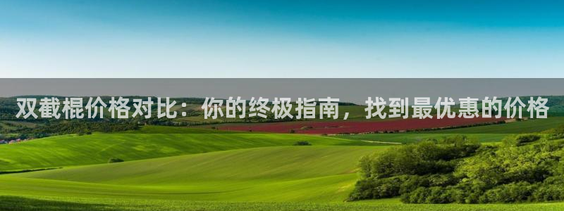 极悦平台登录入口注册：双截棍价格对比：你的终极指南，