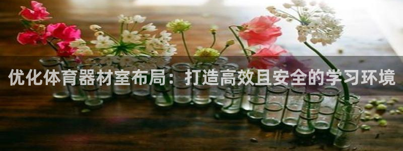 极悦娱乐的背景和历史背景：优化体育器材室布局：打造高