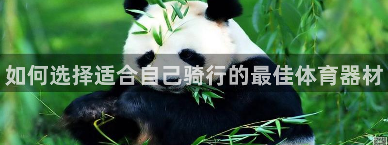 极悦娱乐股东有哪些：如何选择适合自己骑行的最佳体育器