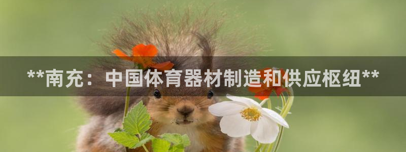 极悦平台官方网站首页登录：**南充：中国体育器材制造