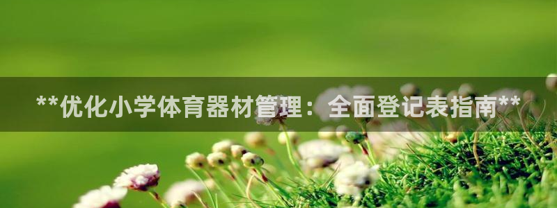 极悦平台代理怎么赚钱：**优化小学体育器材管理：全面登记表指