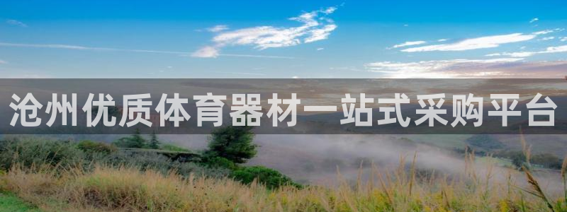 极悦平台代理怎么赚钱：沧州优质体育器材一站式采购平台