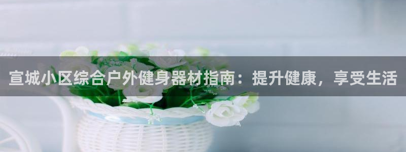 极悦娱乐现在叫什么：宣城小区综合户外健身器材指南：提升健康，