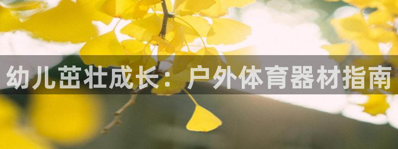 极悦平台集7O777：幼儿茁壮成长：户外体育器材指南