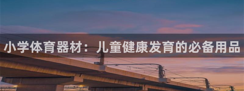 极悦娱乐的背景和历史背景分析：小学体育器材：儿童健康发育的必
