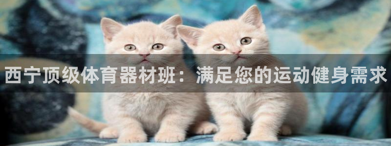 极悦平台客服团队怎么样：西宁顶级体育器材班：满足您的运动健身