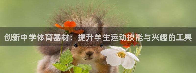 极悦娱乐会被骗吗安全吗：创新中学体育器材：提升学生运
