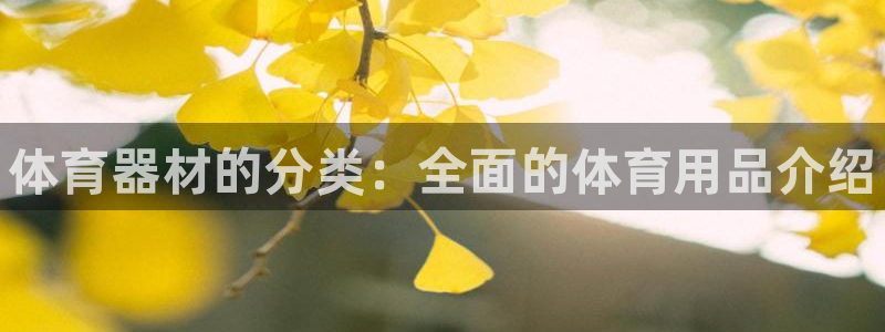 极悦平台客服的联系方式是