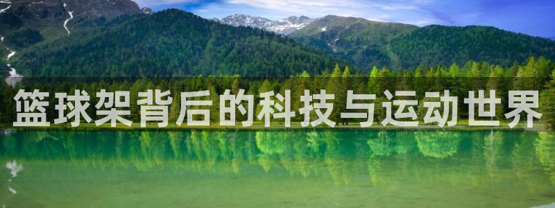 极悦平台好7.0.2.4怎么样：篮球架背后的科技与运