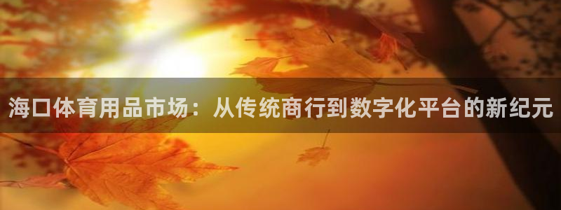 极悦平台用户评价在哪里看：海口体育用品市场：从传统商