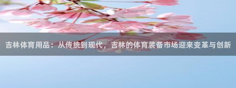 极悦平台官网登录不了