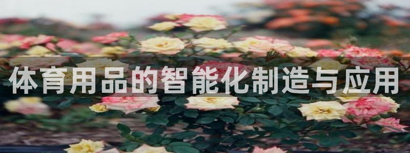 极悦娱乐的背景和历史背景介绍：体育用品的智能化制造与