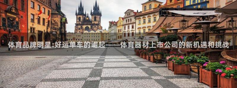 极悦平台用户反馈和反馈